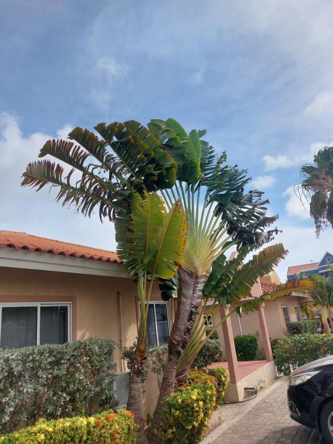 Caribbean Beach Resort Blenchi Curacao Willemstad Esterno foto