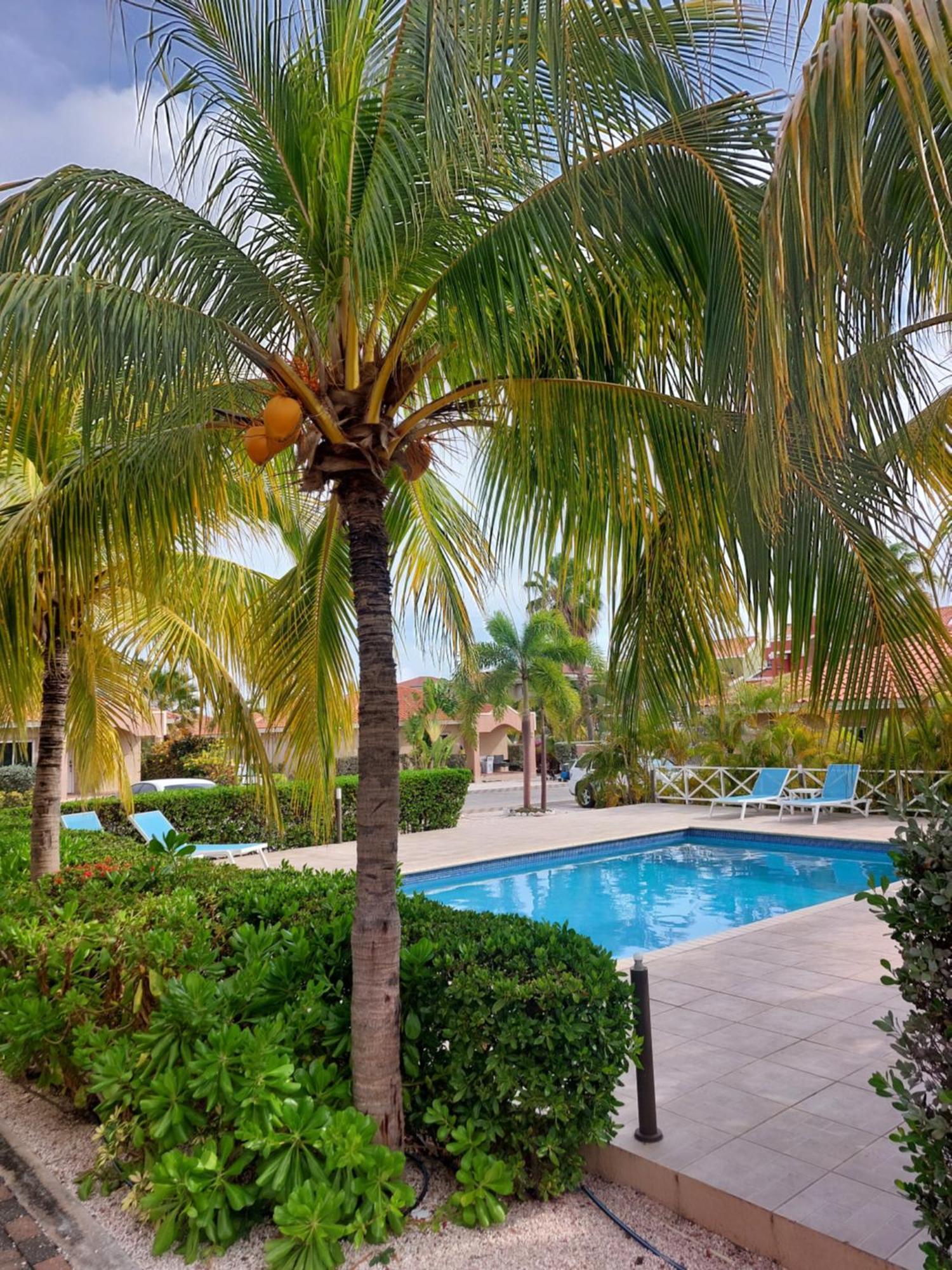 Caribbean Beach Resort Blenchi Curacao Willemstad Esterno foto